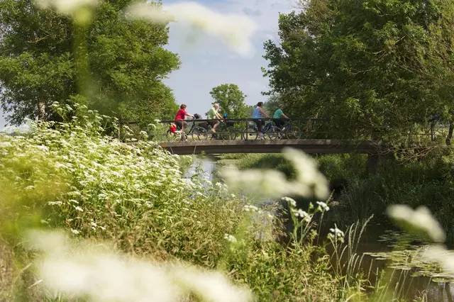 Radfahrer in der Natur auf einer Brücke
